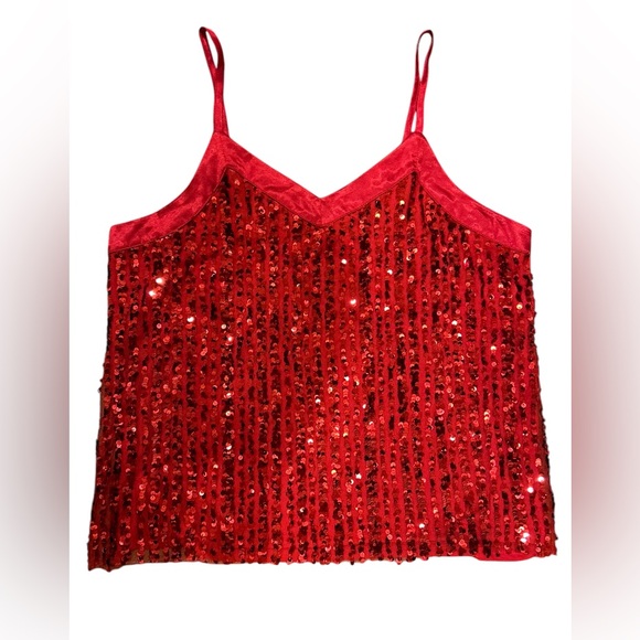 Time and True Satin Sequin Camisole top - Picture 2 of 3